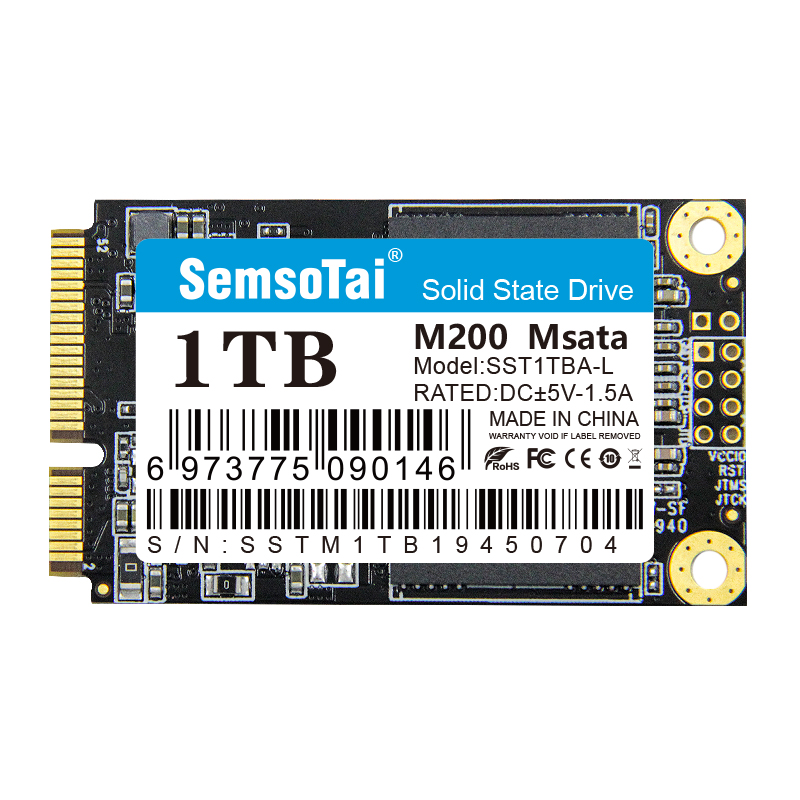 Msata SSD 1TB