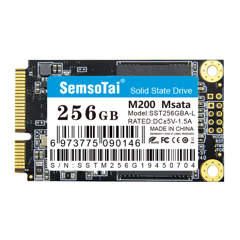 Msata SSD 256GB